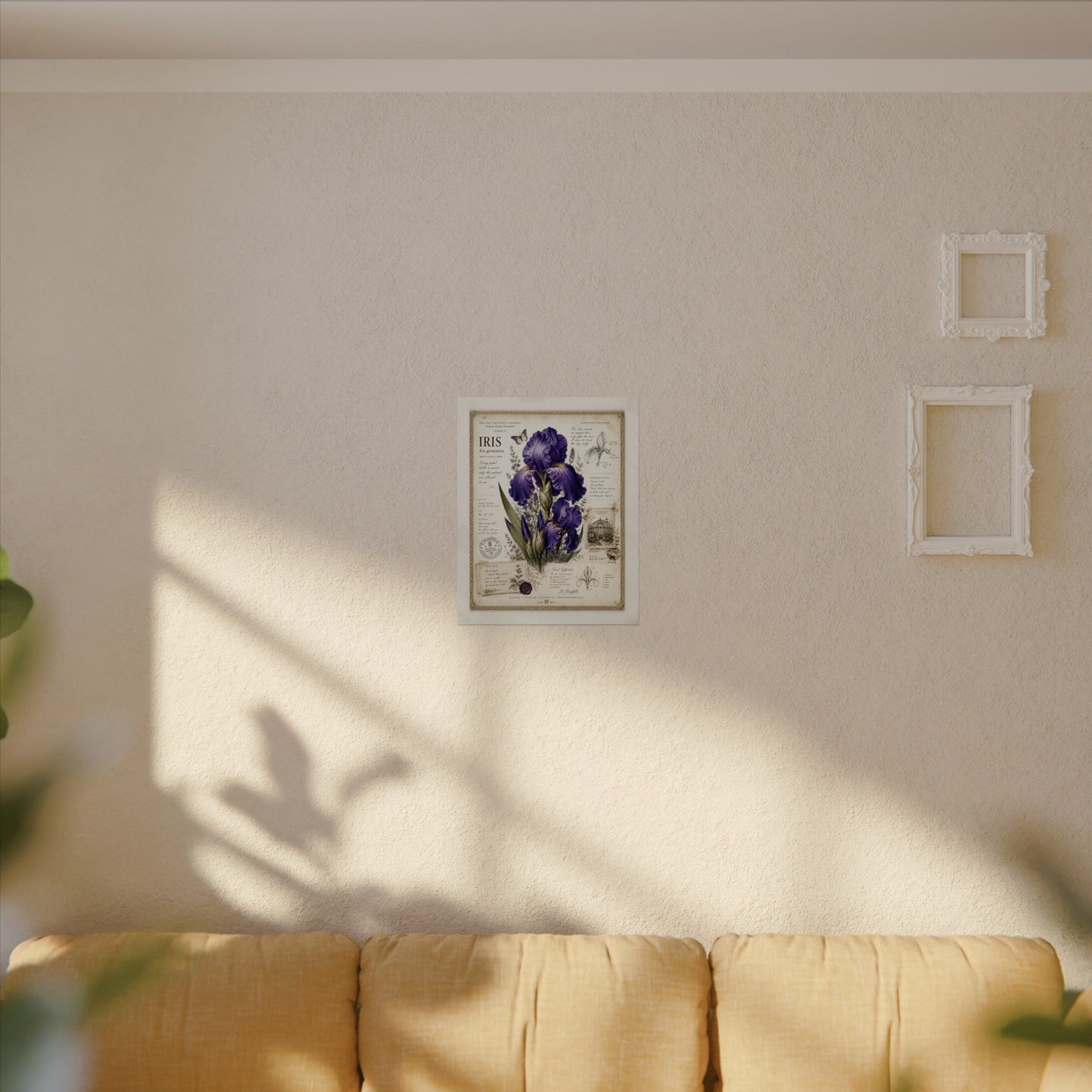 Purple Iris Botanical Illustration Poster