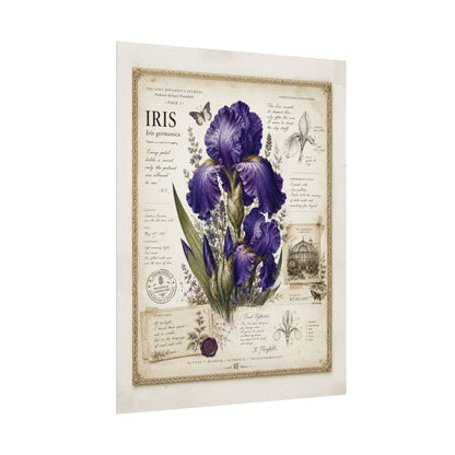 Purple Iris Botanical Illustration Poster